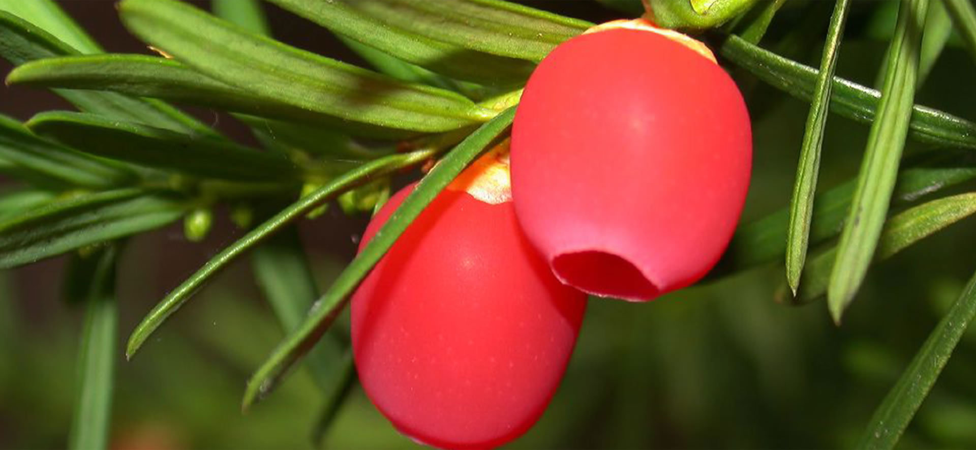動(dòng)態(tài)